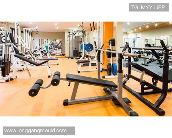 瘦身必备健身器材：最适合减肥的器材推荐